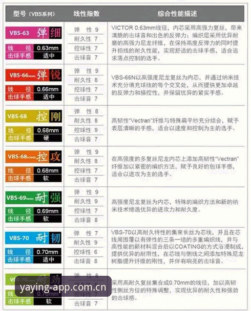 亚盈体育YY平台全功能详解